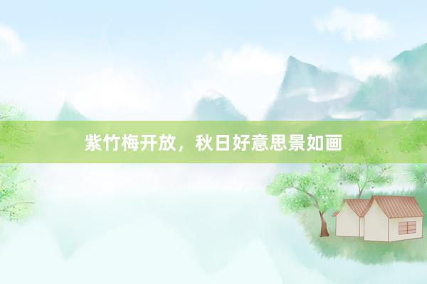 紫竹梅开放，秋日好意思景如画